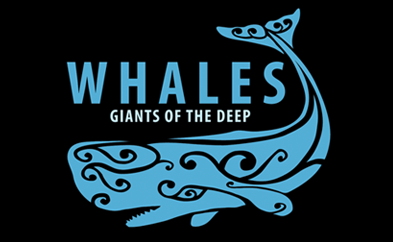 Whales Giants of the Deep