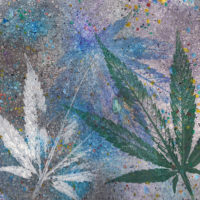 Hunter Students Speak: Legalizing Marijuana
