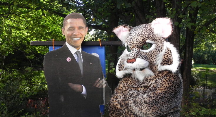 mascot lynx with cutout of president obama