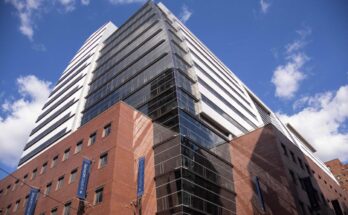 A picture of Baruch College, where students can now pursue a Bachelor of Arts in Environmental Studies or a Bachelor of Science in Environmental Science through the Department of Natural Sciences.