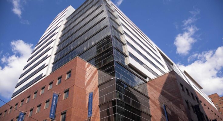 A picture of Baruch College, where students can now pursue a Bachelor of Arts in Environmental Studies or a Bachelor of Science in Environmental Science through the Department of Natural Sciences.